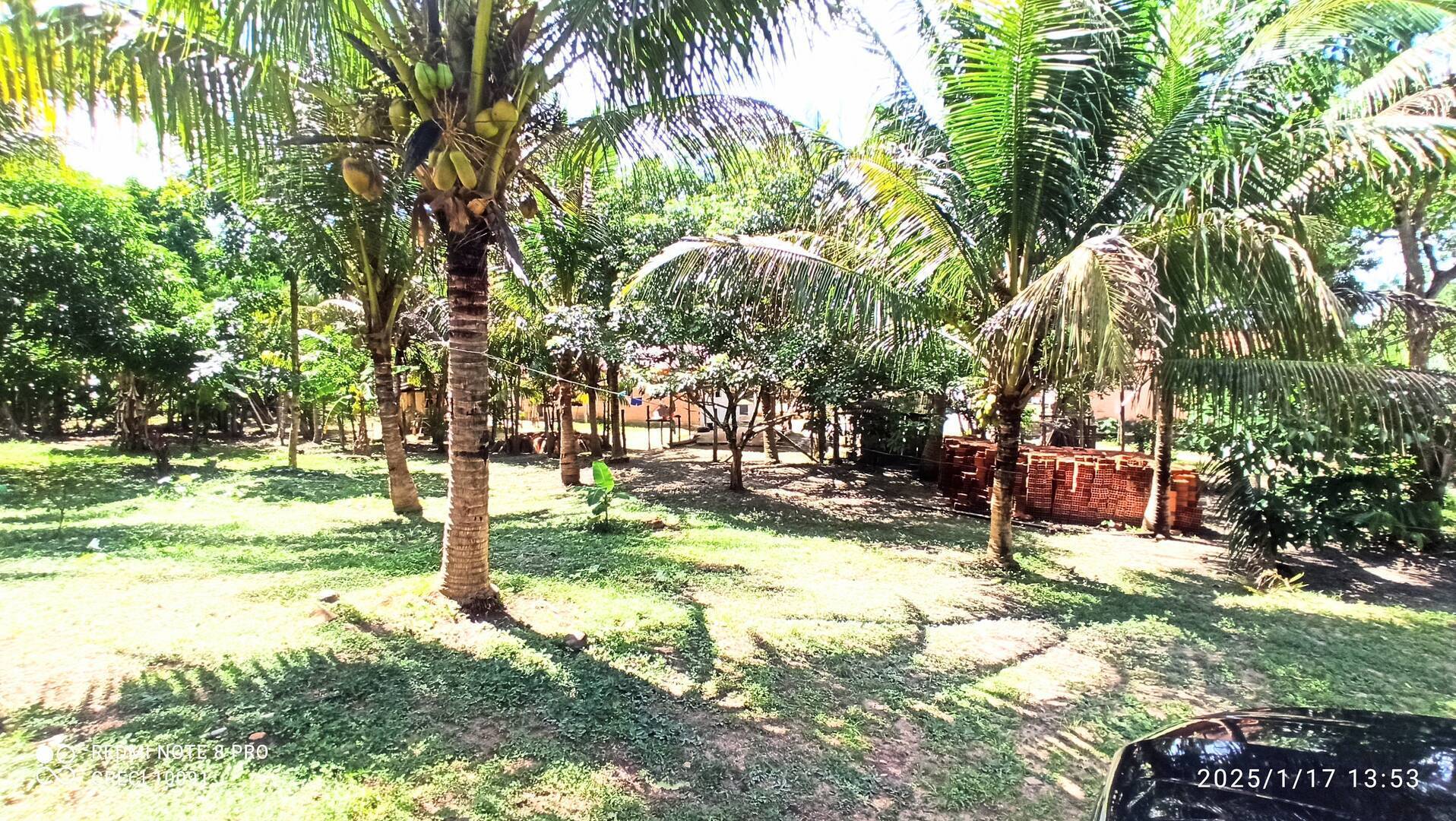 #196 - Sítio para Venda em Santa Isabel do Pará - PA