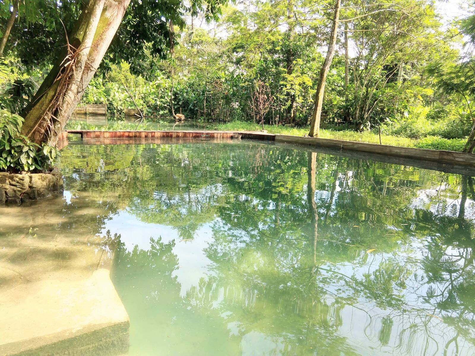 #230 - Casa para Venda em Ananindeua - PA