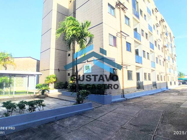 #266 - Apartamento para Locação em Ananindeua - PA